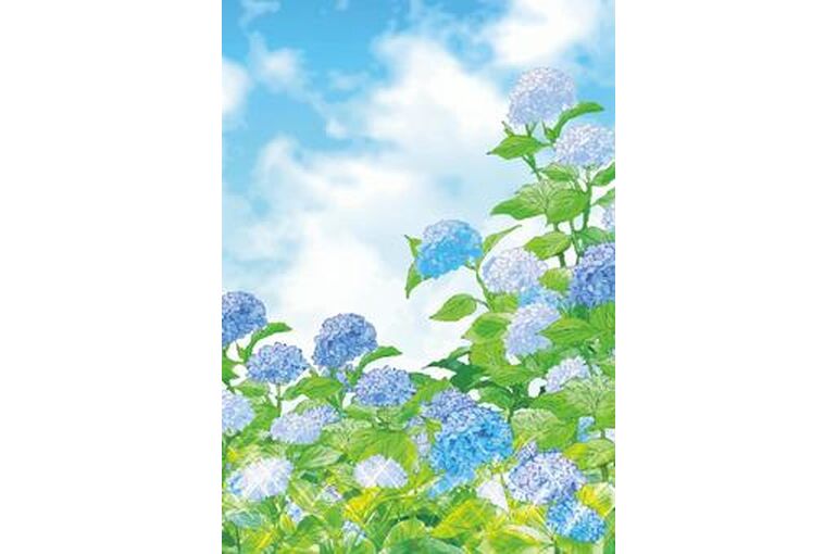 梅雨の晴れ間